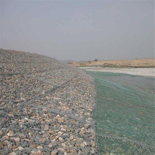 PVC涂层石笼网：沿海防波堤的耐腐蚀选择