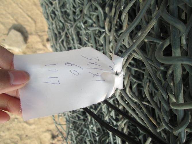 厂家定制格宾网解决方案与雷诺护垫的生态应用