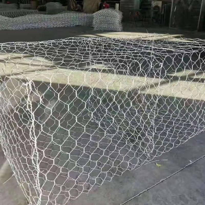 植被石笼网在生态修复中的应用